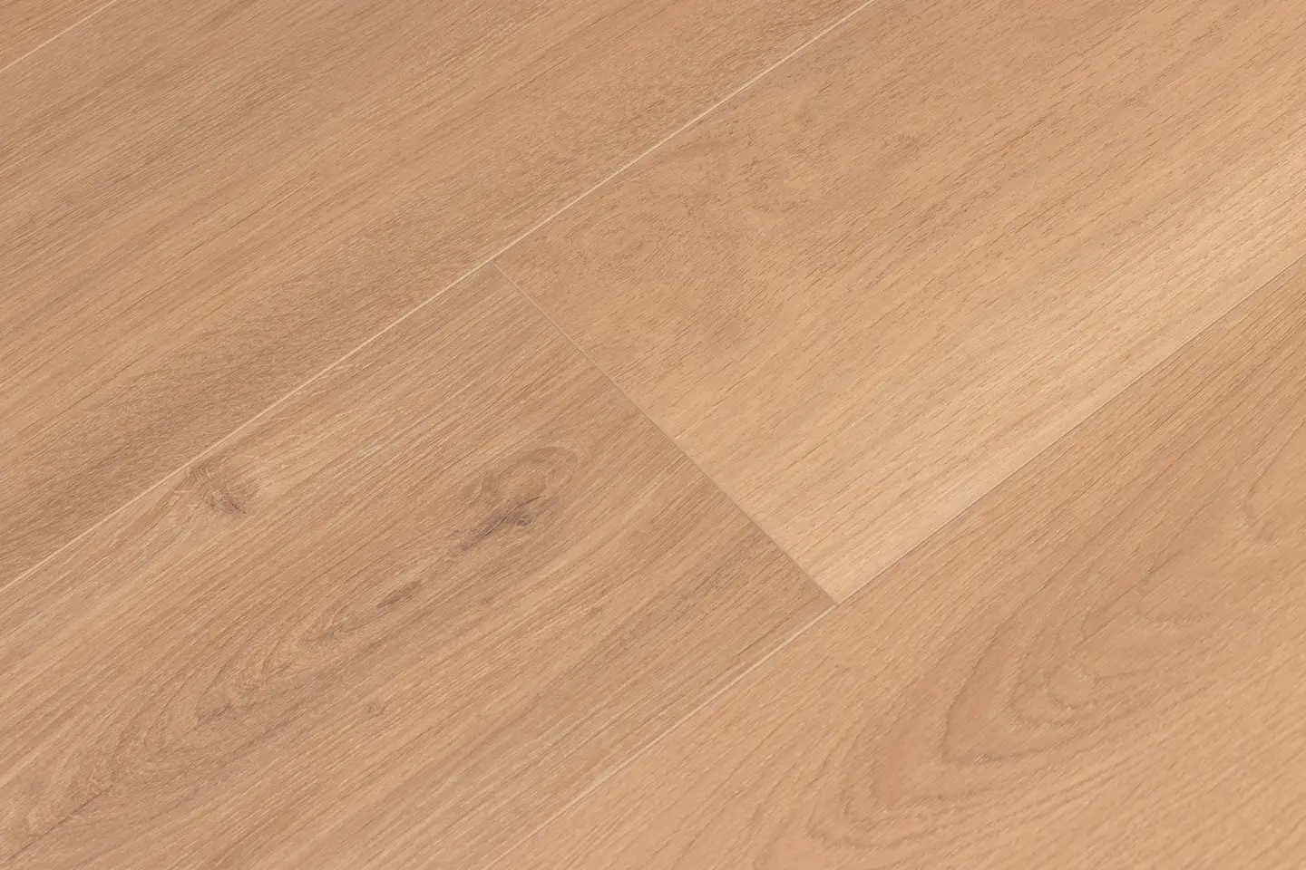 San Pedro Surf view 4